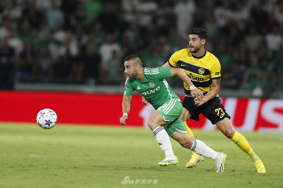 层面的巨大 层面的巨大